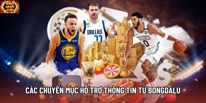 Các chuyên mục hỗ trợ cập nhật thông tin từ Bongdalu