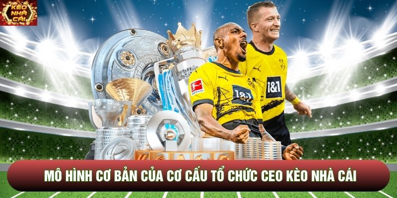 Mô hình cơ bản của cơ cấu tổ chức CEO Kèo Nhà Cái