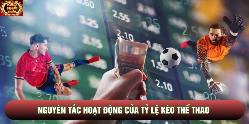 Nguyên tắc hoạt động của tỷ lệ kèo thể thao